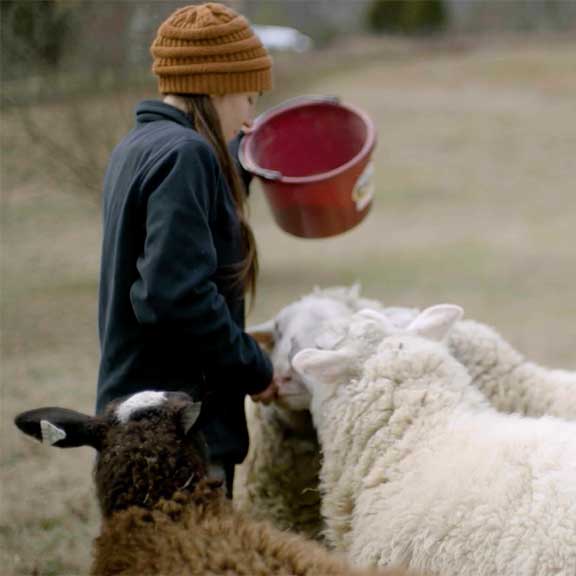 girl with sheep