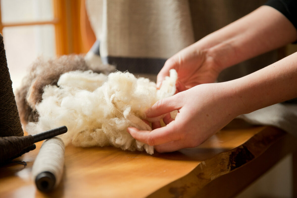 Hands holding a tuft of lofty sheep's wool in undyed white, from Long Cove Farm on Vinalhaven, Maine. Spools of spun natural brown and white wool are used to make handwoven blankets at Swans Island Co.