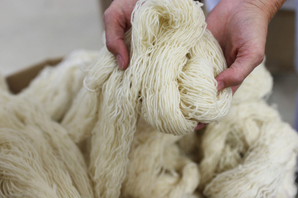 Hands holding undyed skeins of 100% Corridale wool for Swans Island handwoven blankets