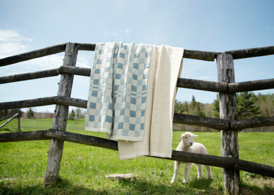 Swans Island's handwoven winter blankets alongside a spring lamb at the farm at College of the Atlantic in Bar Harbor, Maine. Fleece from this flock will go into making more of these blankets in the future.