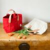 Swans Island Company's Canvas Lunch Tote in heavy cotton canvas - by Immodest Cotton. Persimmon and Natural